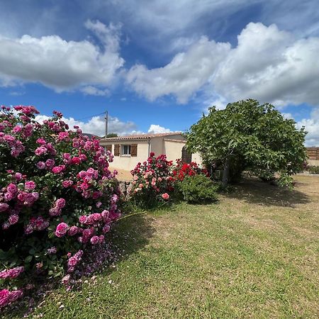 Résidence Casa Favalella Porto Pollo Exterior foto